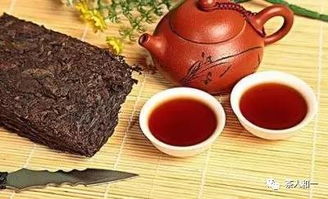 被誤解的茶葉“發(fā)酵” 一個(gè)并非完全正確的加工術(shù)語