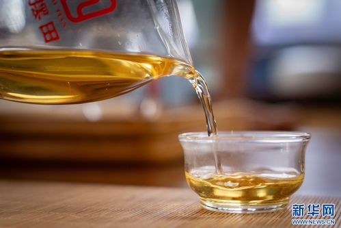 萬千氣象看云南 | 鳳慶春茶開采，茶香四溢的夏秋滋味